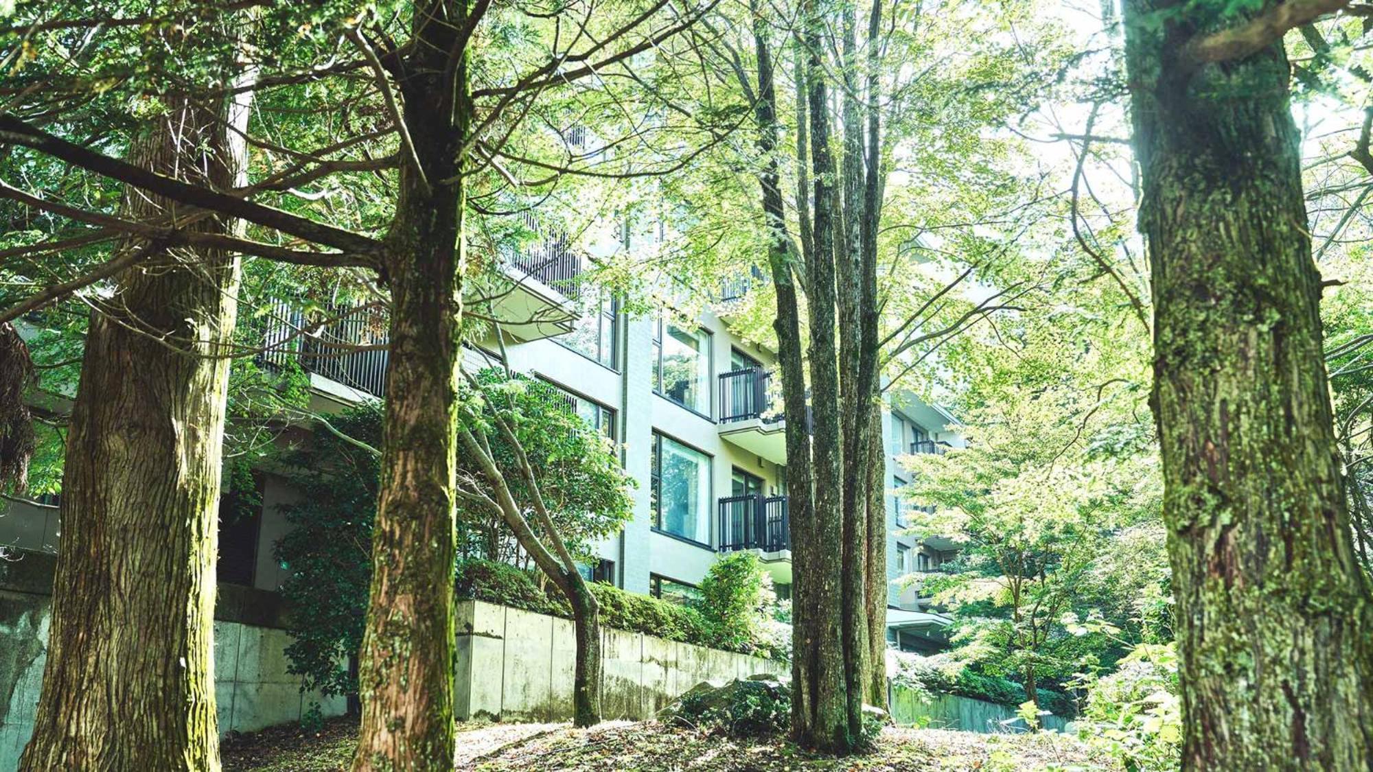Tokyu Vacations Hakone Gora Hotel Exterior foto